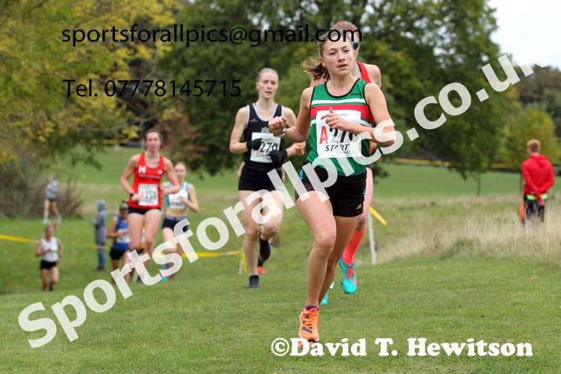 Senior womens Northern Cross Country Relays, Graves Park, Sheffield. Photo: David T. Hewitson/Sports for All Pics